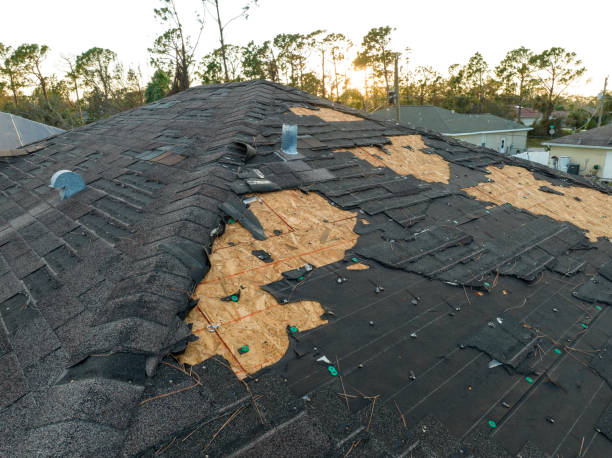 Best Roof Insulation Installation  in La Porte, TX